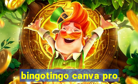 bingotingo canva pro